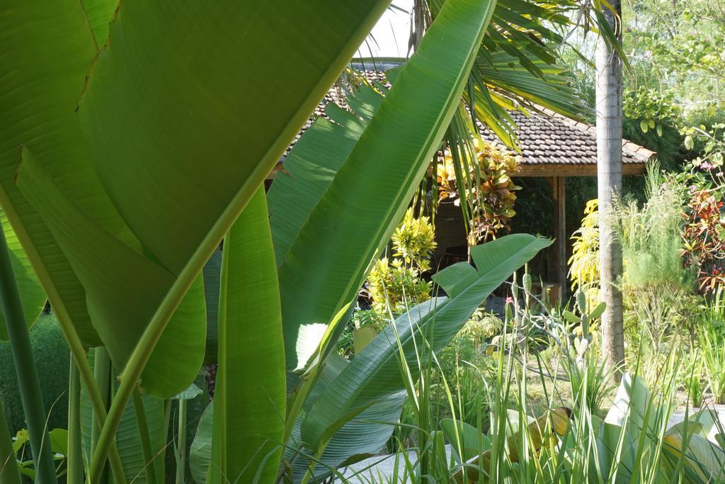 סנגיגי Ibludan Hotel מראה חיצוני תמונה